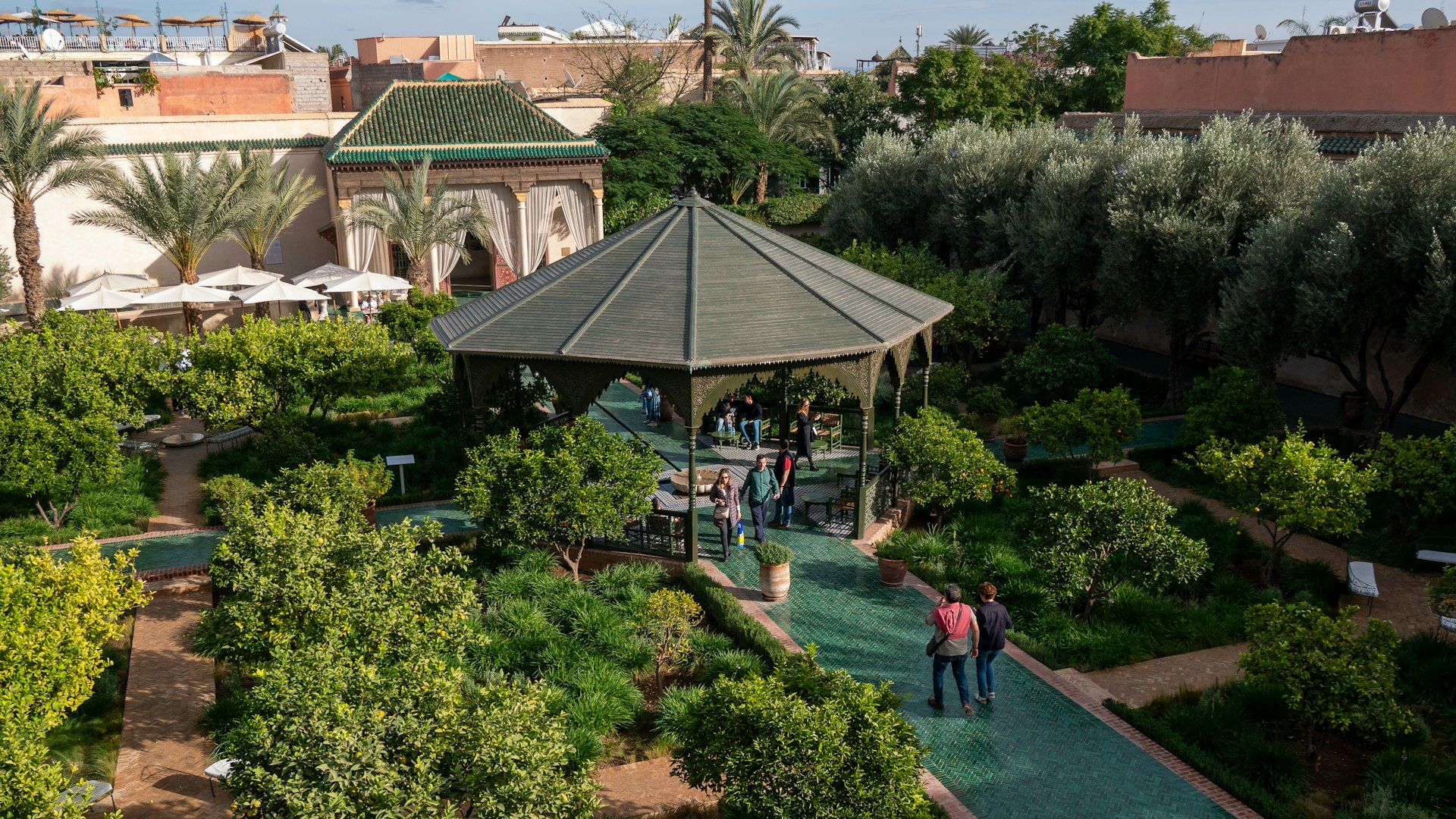 a group of people walking around a lush green park